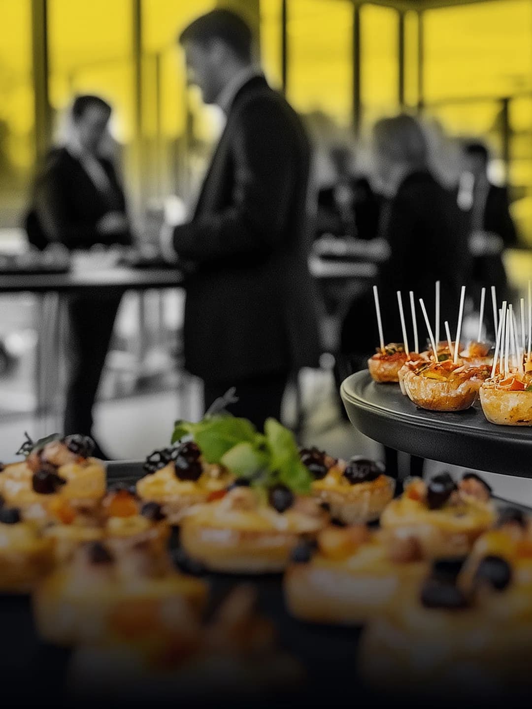 Catering y Servicios Gastronómicos
